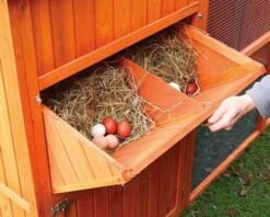 Poulailler Norway -Animalerie pn4