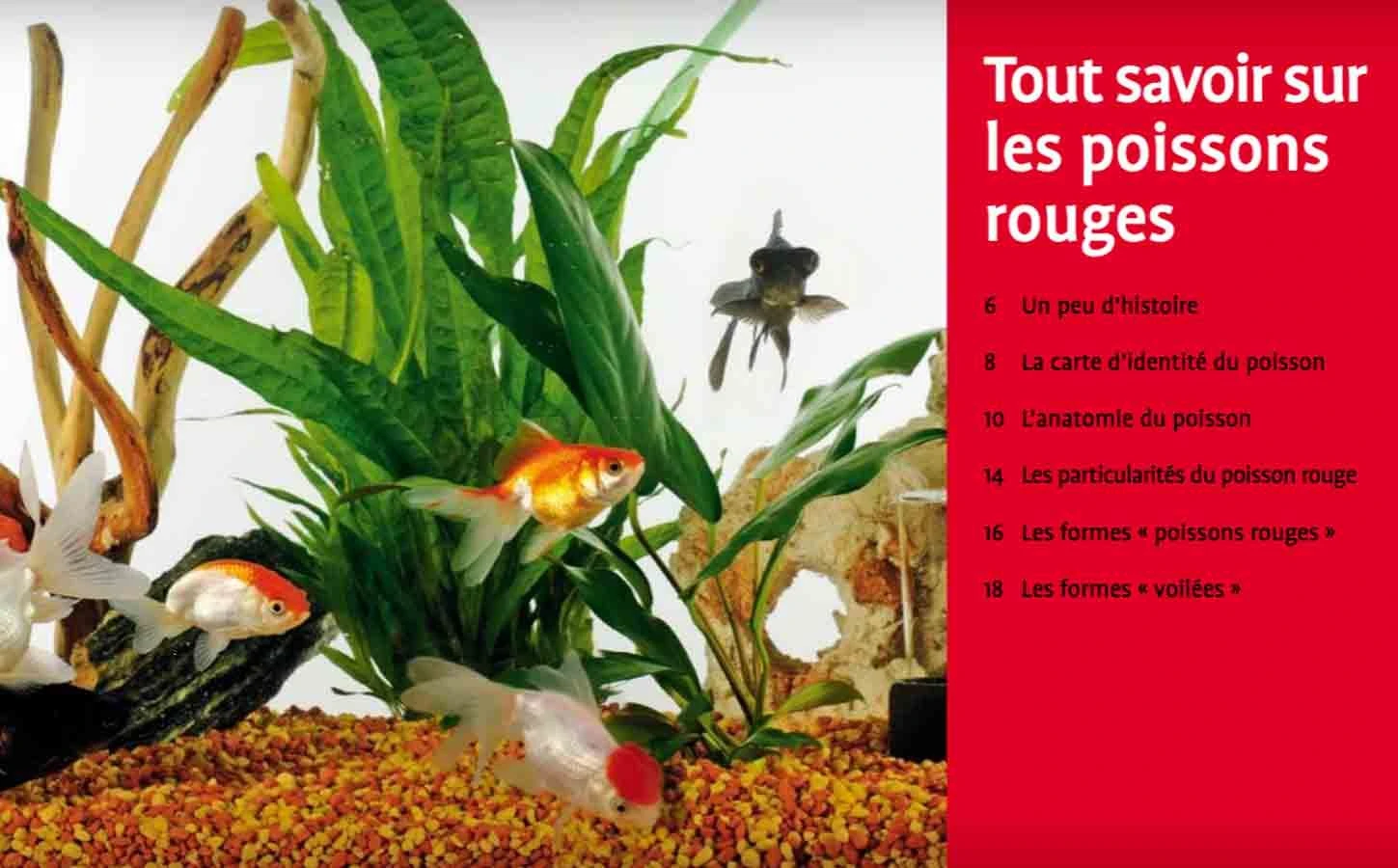 Livre - Poissons Rouges 4 Livre - Poissons Rouges – Image 2