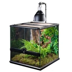 Exo Terra Support Pour Dôme D'éclairage 9 Exo Terra Support Pour Dôme D'éclairage -Animalerie pt2223 light bracket in use 02