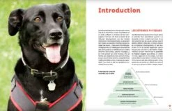 Livre - Rendre Son Chien Heureux -Animalerie rendre son chien heureux3