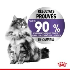 Royal Canin Féline Care Nutrition Appetite Control Mousse 12 X 85 G -Animalerie royal canin feline care nutrition appetite control mousse 12 x 85 g2