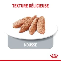 Royal Canin Féline Care Nutrition Appetite Control Mousse 12 X 85 G -Animalerie royal canin feline care nutrition appetite control mousse 12 x 85 g3