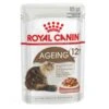Royal Canin Feline Health Nutrition Ageing +12 En Sauce 12 X 85 G