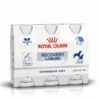 Royal Canin Vet Diet Recovery Liquid 3 X 200 Ml