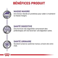 Royal Canin Veterinary Chat Neutered Maintenance 12 X 85 G 13 Royal Canin Veterinary Chat Neutered Maintenance 12 X 85 G -Animalerie royal canin veterinary chat neutered maintenance 12 x 85 g 3