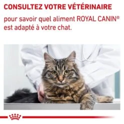 Royal Canin Veterinary Chat Neutered Maintenance 12 X 85 G 17 Royal Canin Veterinary Chat Neutered Maintenance 12 X 85 G -Animalerie royal canin veterinary chat neutered maintenance 12 x 85 g 7