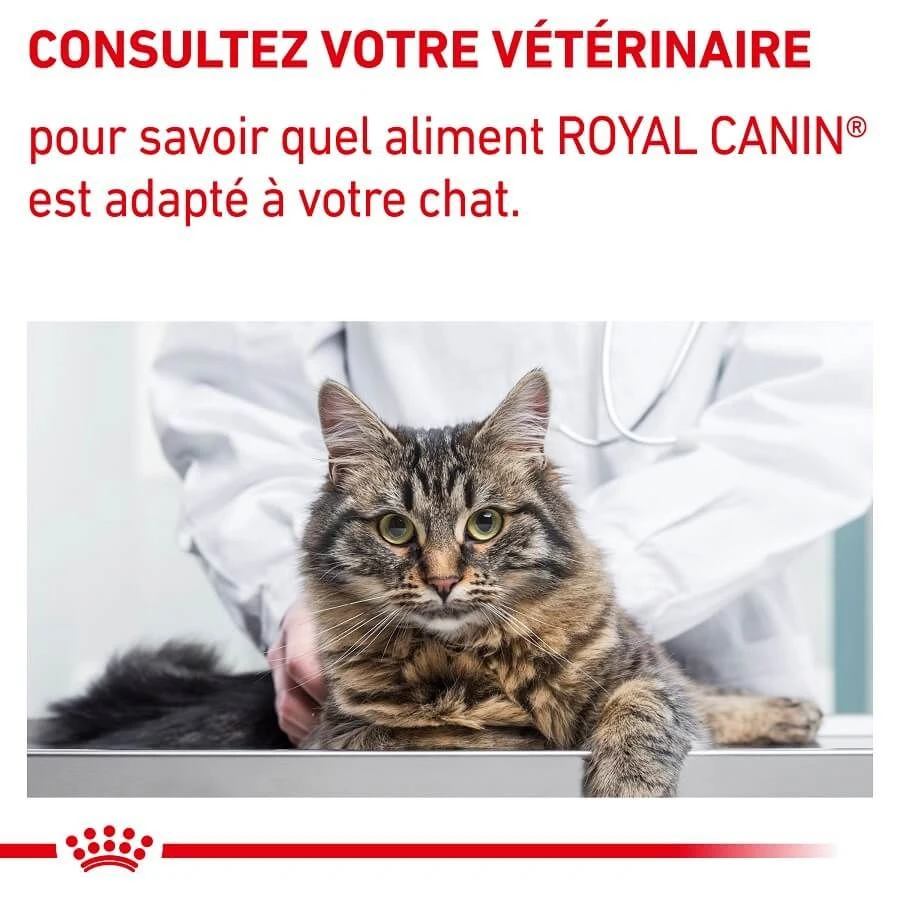 Royal Canin Veterinary Chat Neutered Maintenance 12 X 85 G 10 Royal Canin Veterinary Chat Neutered Maintenance 12 X 85 G – Image 8