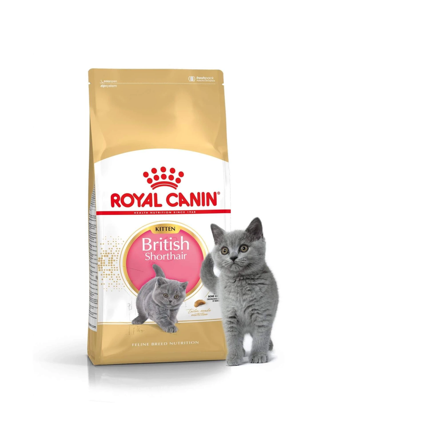 Royal Canin British Shorthair Kitten 10 Kg 4 Royal Canin British Shorthair Kitten 10 Kg – Image 2