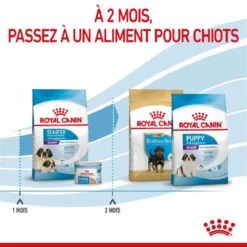 Royal Canin Giant Starter Mother And Babydog 15 Kg -Animalerie royal canin giant starter mother and babydog 5