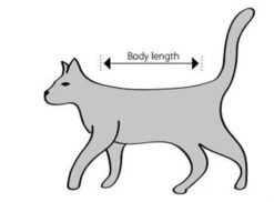 Buster Body Suit Chat XXS 7 Buster Body Suit Chat XXS -Animalerie sche m 1