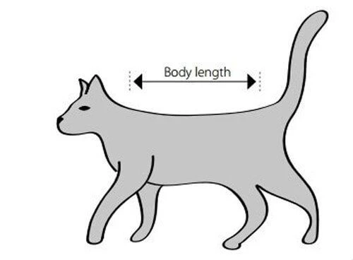 Buster Body Suit Chat XXS 5 Buster Body Suit Chat XXS – Image 3