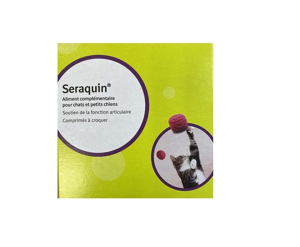 Seraquin Chat Et Petit Chien 120 Cps 3 Seraquin Chat Et Petit Chien 120 Cps