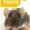 Livre - Souris