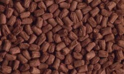 Tetra Tortoise 250 Ml -Animalerie tetra tortoise 250 ml2