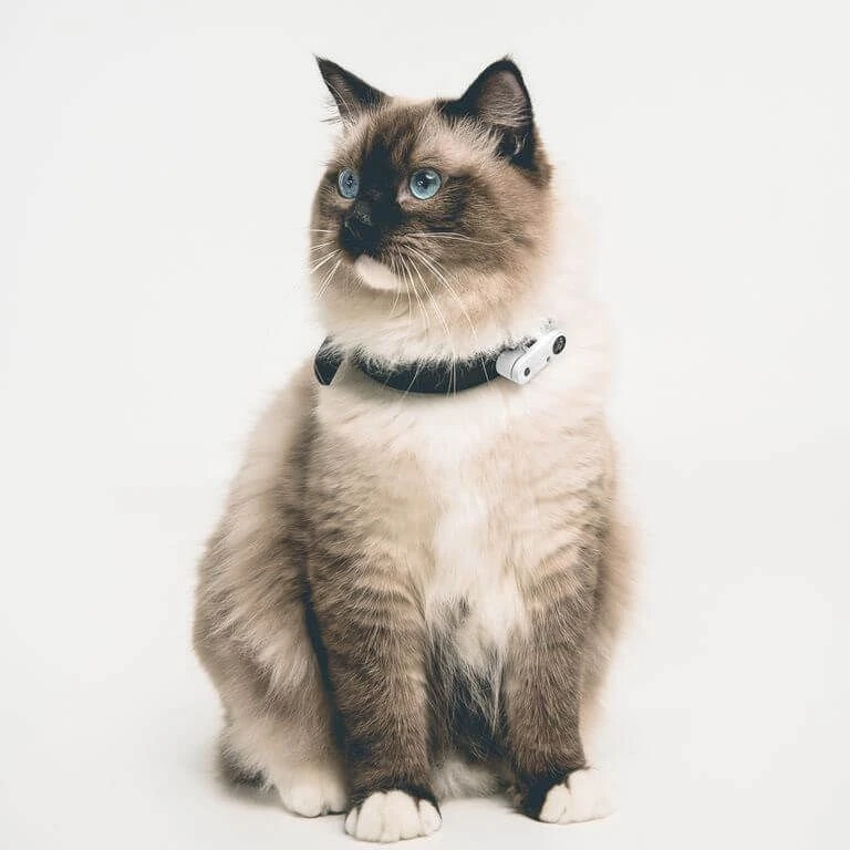 Tickless Mini Cat Blanc Rechargeable 5 Tickless Mini Cat Blanc Rechargeable – Image 3