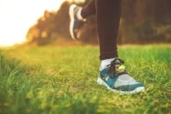 Tickless Run Rechargeable -Animalerie tickless run vert rechargeable3