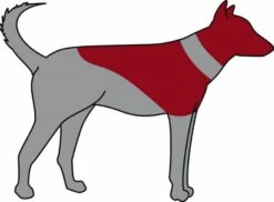 Trixie Carcan Gonflable Pour Chien S 7 Trixie Carcan Gonflable Pour Chien S -Animalerie trixie carcan gonflable pour chien s3