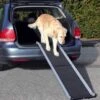 Trixie Rampe Pliable Petwalk 38 × 155 Cm 1 Trixie Rampe Pliable Petwalk 38 × 155 Cm -Animalerie trixie rampe pliable petwalk 38 155 cm