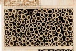 Trixie Hôtel Pour Insectes 29 × 49 × 16 Cm 9 Trixie Hôtel Pour Insectes 29 × 49 × 16 Cm -Animalerie trixie h tel pour insectes 29 49 16 cm3