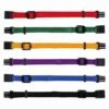 Trixie Set Collier Chiot S-M X 6 -Animalerie trixie set collier chiot s m x 6