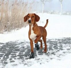 Trixie Bottes Protection Walker Active M X 2 5 Trixie Bottes Protection Walker Active M X 2 -Animalerie trixiebottesm 2