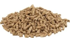 Versele Laga GOLD 4 Gallico Pellet 20 Kg -Animalerie versele laga gold 4 gallico pellet 20 kg3