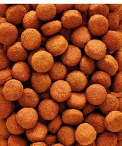 Versele Laga Nutribird H16 Calaos 10 Kg -Animalerie versele laga nutribird h16 calaos 10 kg 2