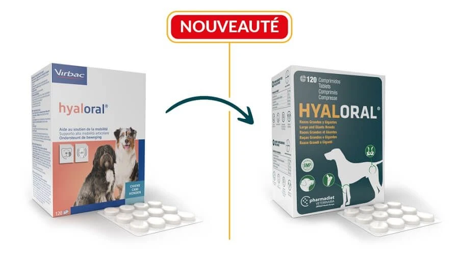 Virbac HYALORAL Chien Plus De 5 Kg 24 Cp 4 Virbac HYALORAL Chien Plus De 5 Kg 24 Cp – Image 2