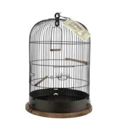 Zolux Cage Retro Lisette Pour Oiseaux -Animalerie zolux cage retro lisette pour oiseaux2