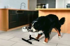 Zolux Support Double Réglable + 2 Bols 2,75 L 7 Zolux Support Double Réglable + 2 Bols 2,75 L -Animalerie zolux support double re glable 2 bols 2 75 l3