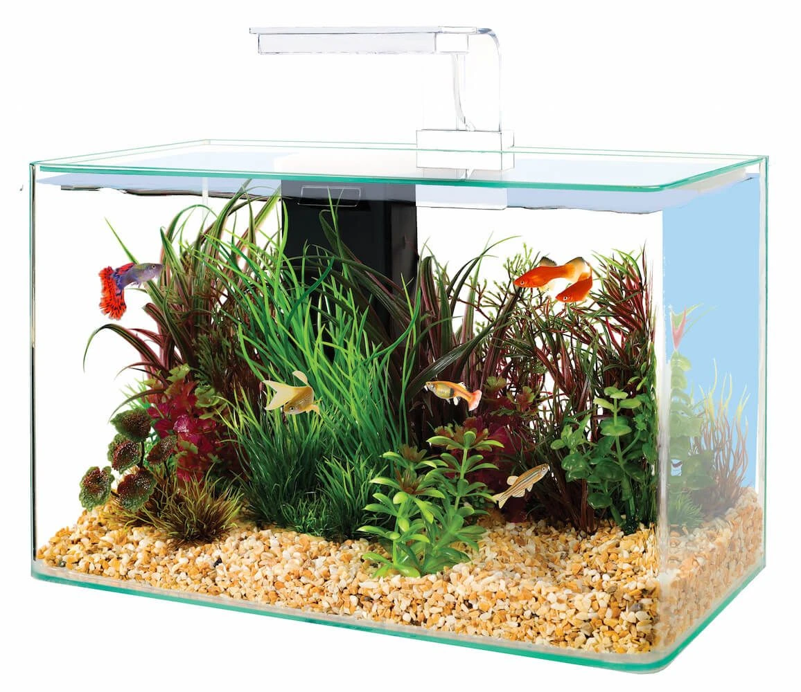 Zolux Aquarium Aqua Clear 40 Blanc – Image 2