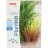 Zolux Plantkit Wiha N°2 -Animalerie zolux plantkit wiha n 2 la compagnie des animaux 2